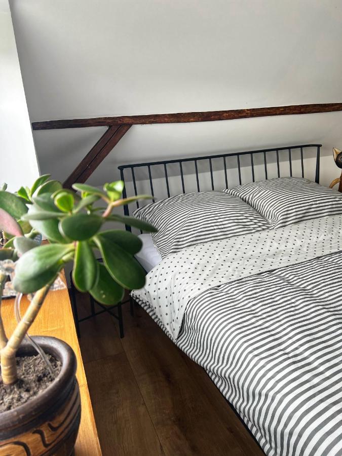 Malinowa Chatka Jankowice  Eksteriør bilde